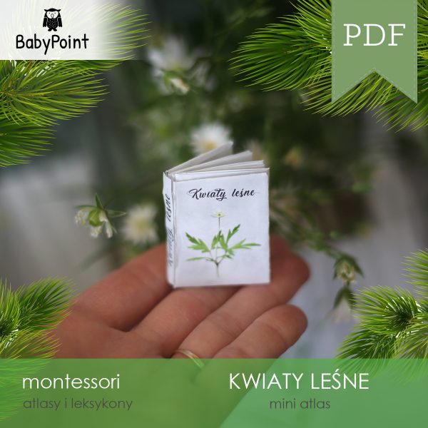 KWIATY LEŚNE - Zestaw edukacyjny