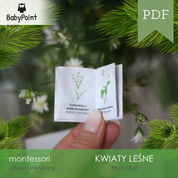 KWIATY LEŚNE - Zestaw edukacyjny
