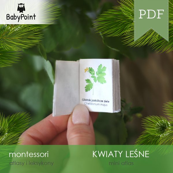 KWIATY LEŚNE - Zestaw edukacyjny