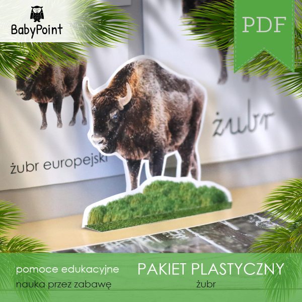 PAKIET PLASTYCZNY - Żubr