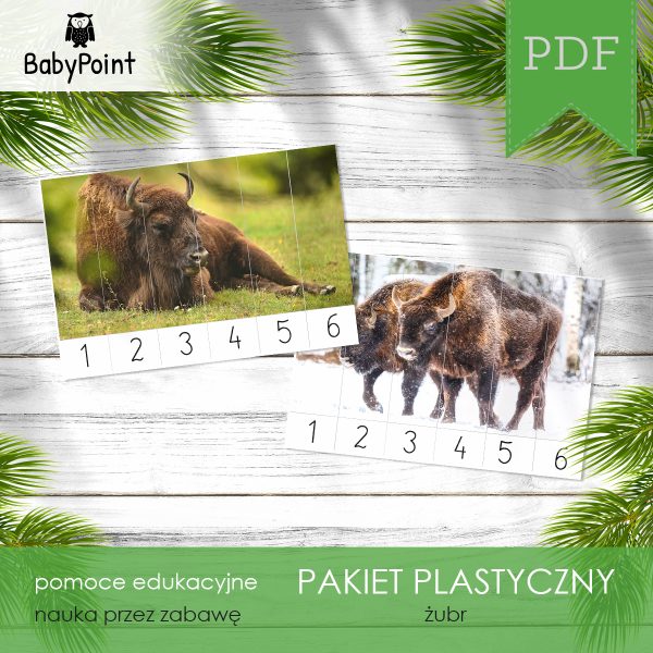 PAKIET PLASTYCZNY - Żubr