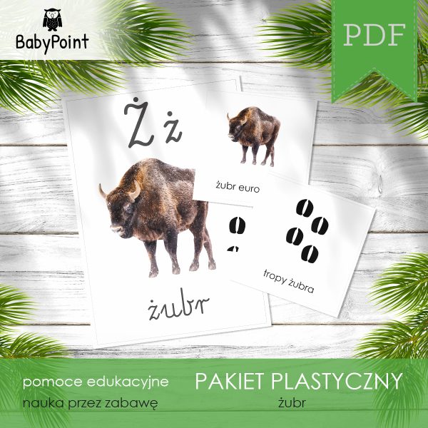 PAKIET PLASTYCZNY - Żubr