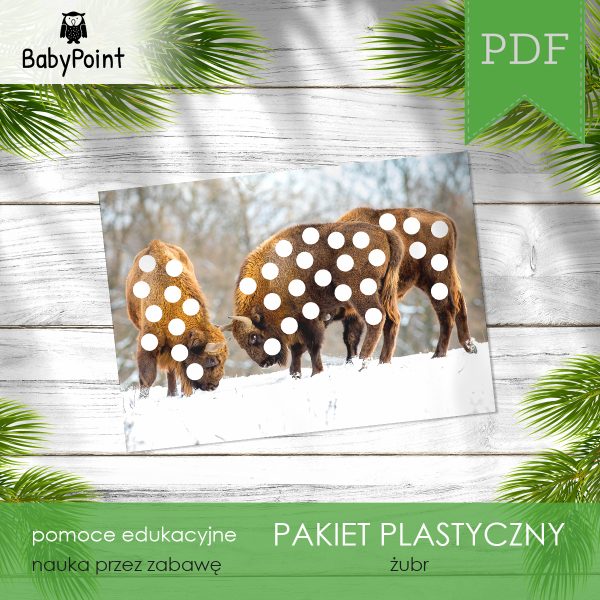 PAKIET PLASTYCZNY - Żubr