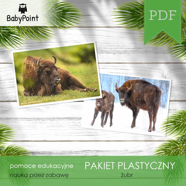 PAKIET PLASTYCZNY - Żubr