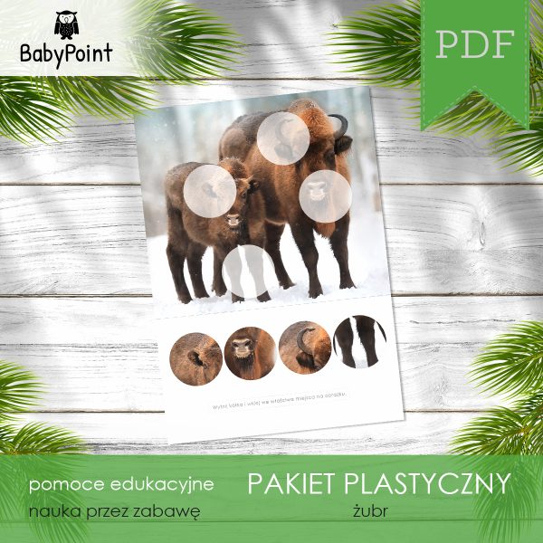 PAKIET PLASTYCZNY - Żubr