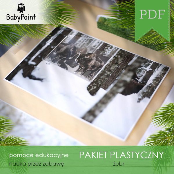 PAKIET PLASTYCZNY - Żubr