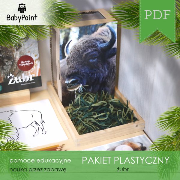 PAKIET PLASTYCZNY - Żubr