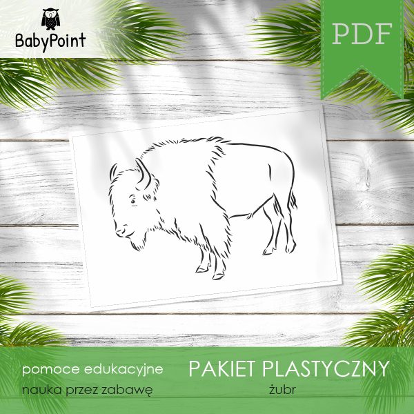 PAKIET PLASTYCZNY - Żubr
