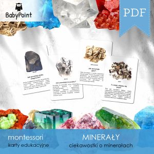 MINERAŁY - Zestaw edukacyjny 3D