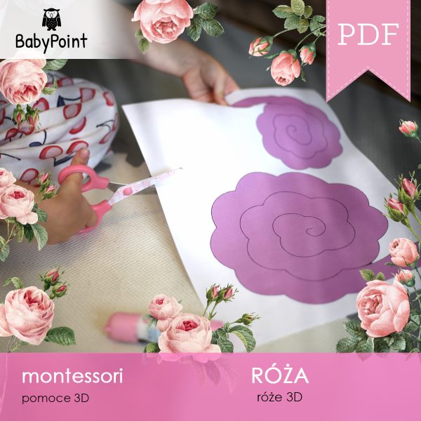 RÓŻA - Zestaw edukacyjny 3D