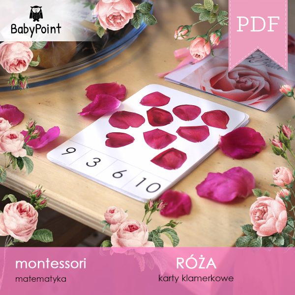 RÓŻA - Zestaw edukacyjny 3D