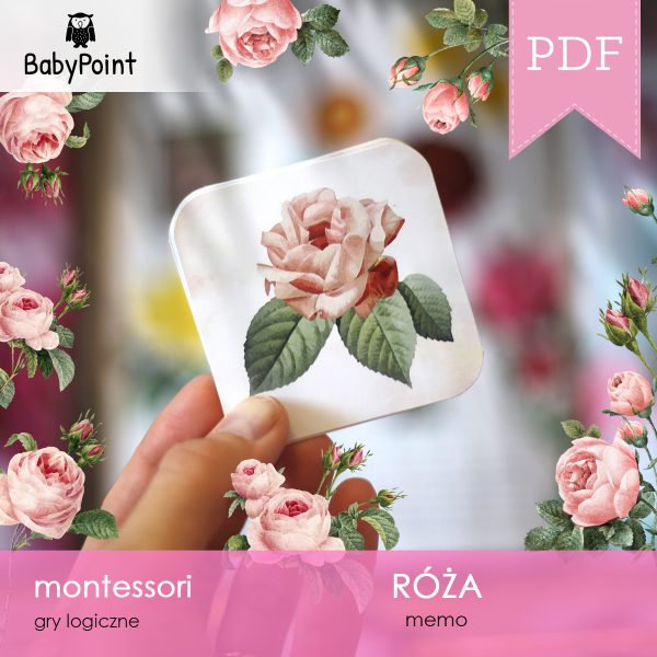 RÓŻA - Zestaw edukacyjny 3D