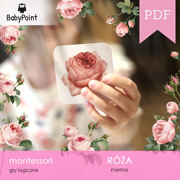 RÓŻA - Zestaw edukacyjny 3D