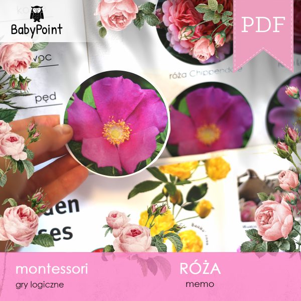 RÓŻA - Zestaw edukacyjny 3D