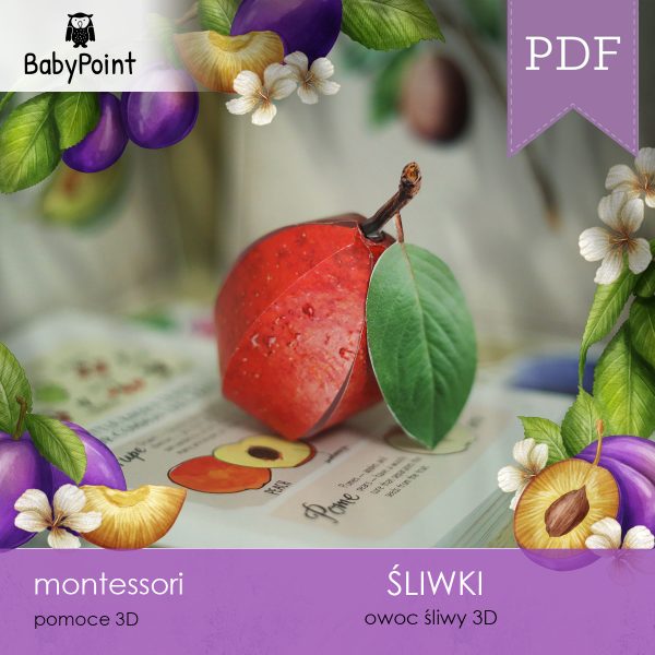 ŚLIWKI - zestaw edukacyjny 3D