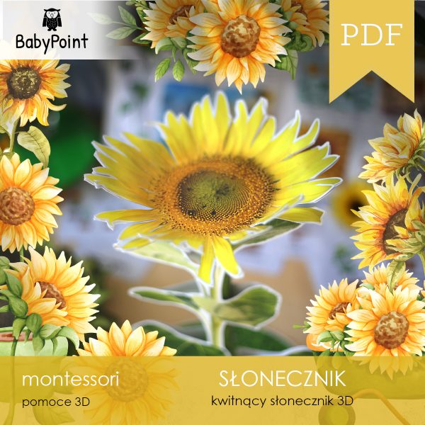 SŁONECZNIK - Zestaw edukacyjny 3D