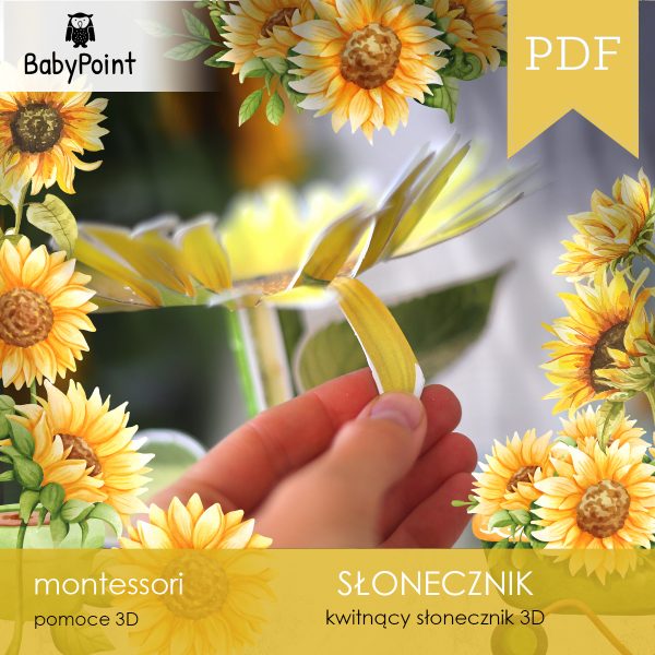 SŁONECZNIK - Zestaw edukacyjny 3D