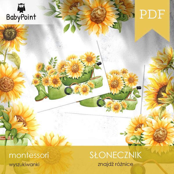 SŁONECZNIK - Zestaw edukacyjny 3D