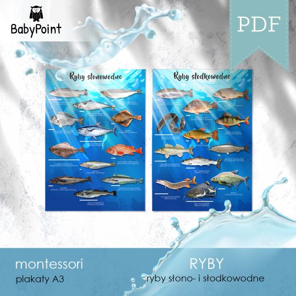 RYBY - Plakaty