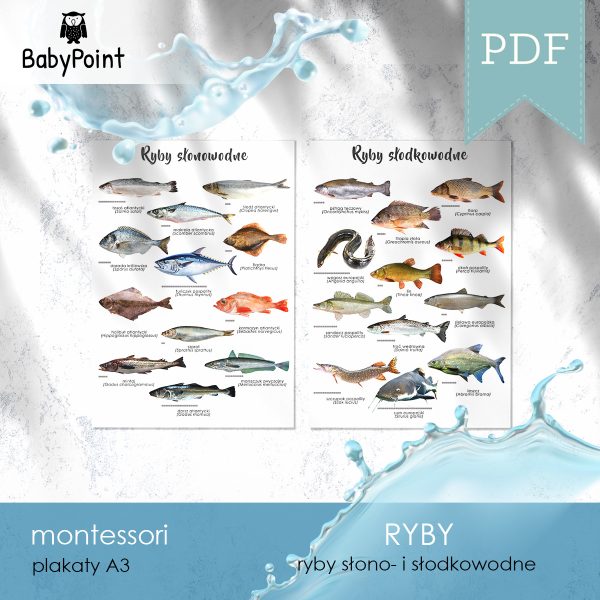 RYBY - Plakaty