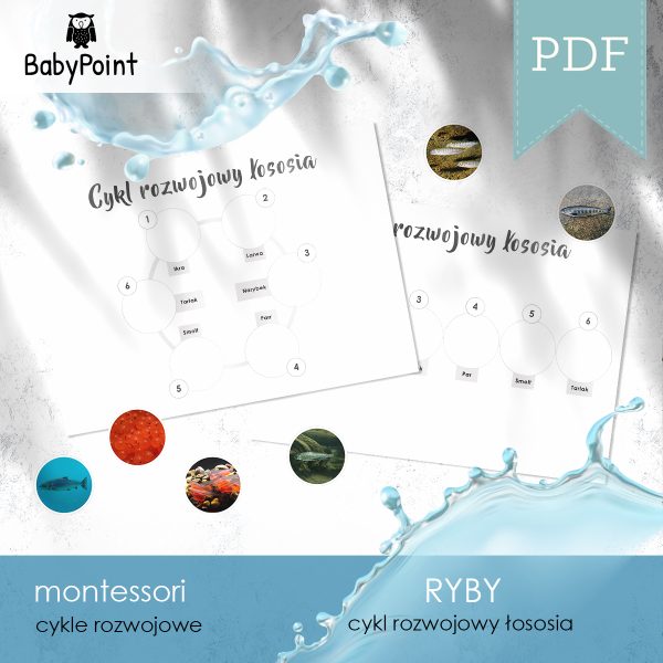 RYBY - Cykl rozwojowy