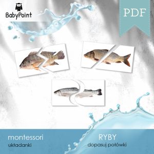 RYBY - Dopasowanki