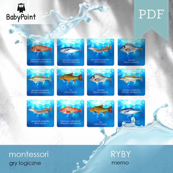 RYBY - Memo