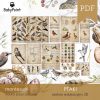 PTAKI - Zestaw edukacyjny 3D
