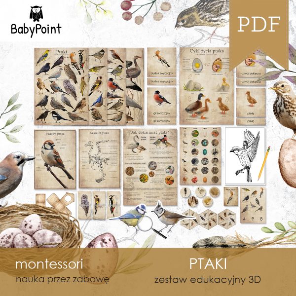 PTAKI - Zestaw edukacyjny 3D