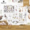 PTAKI - Zestaw edukacyjny 3D