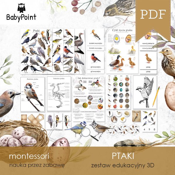PTAKI - Zestaw edukacyjny 3D
