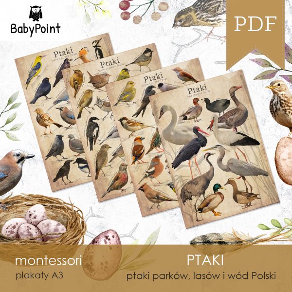 PTAKI - Zestaw edukacyjny 3D