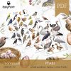 PTAKI - Zestaw edukacyjny 3D