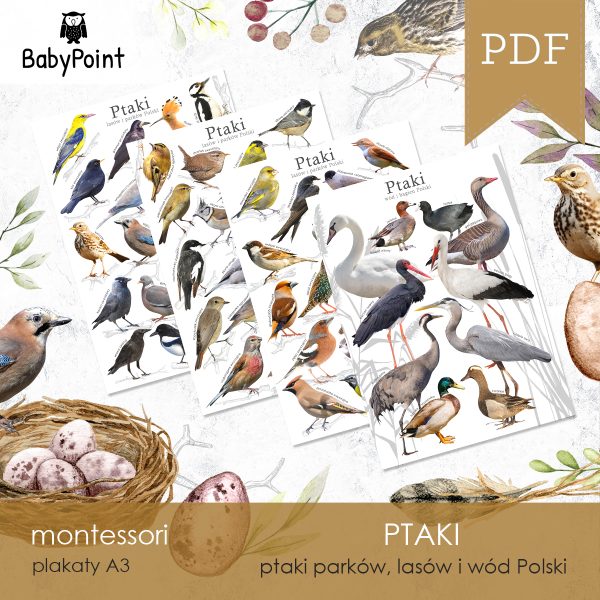 PTAKI - Zestaw edukacyjny 3D