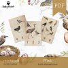 PTAKI - Zestaw edukacyjny 3D