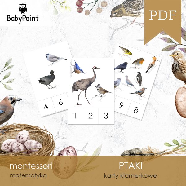PTAKI - Zestaw edukacyjny 3D
