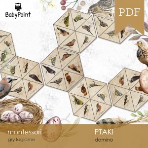 PTAKI - Zestaw edukacyjny 3D