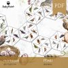 PTAKI - Zestaw edukacyjny 3D