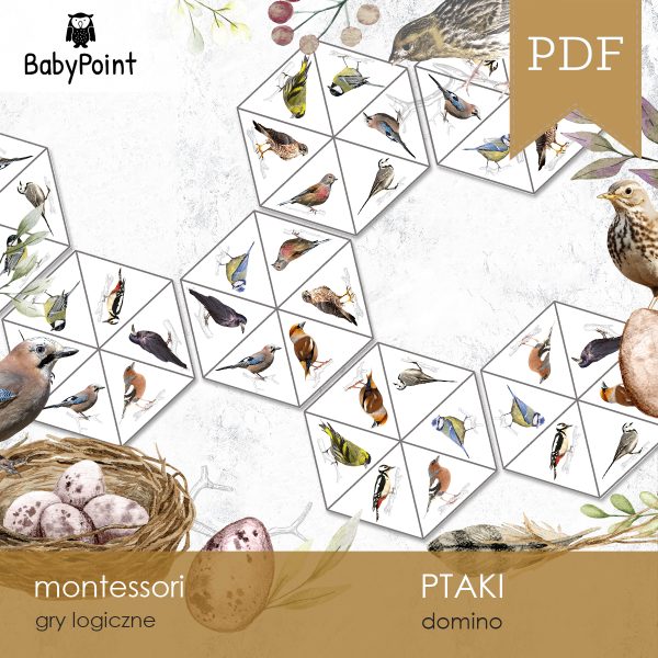 PTAKI - Zestaw edukacyjny 3D