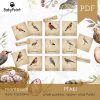 PTAKI - Zestaw edukacyjny 3D