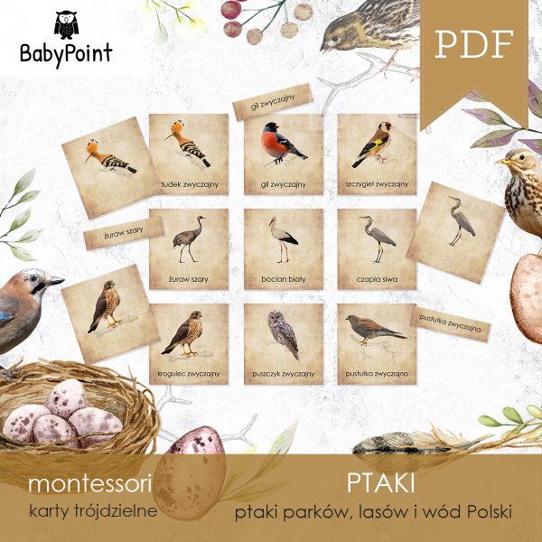 PTAKI - Zestaw edukacyjny 3D