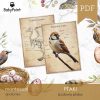 PTAKI - Zestaw edukacyjny 3D