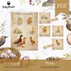 PTAKI - Zestaw edukacyjny 3D
