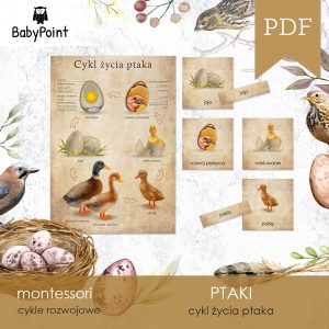 PTAKI - Zestaw edukacyjny 3D