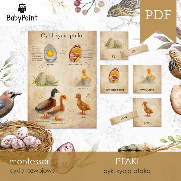PTAKI - Zestaw edukacyjny 3D