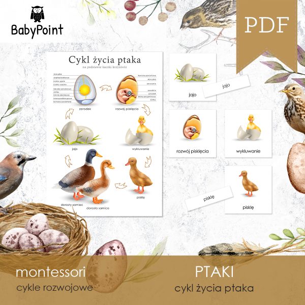 PTAKI - Zestaw edukacyjny 3D