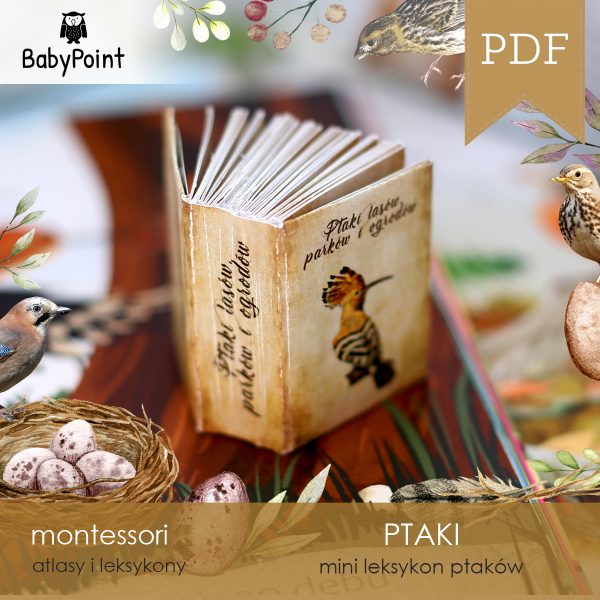 PTAKI - Zestaw edukacyjny 3D