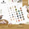 PTAKI - Zestaw edukacyjny 3D