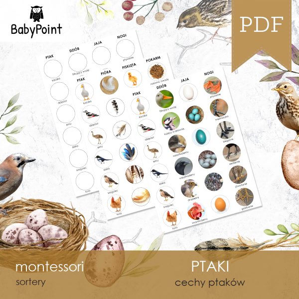PTAKI - Zestaw edukacyjny 3D