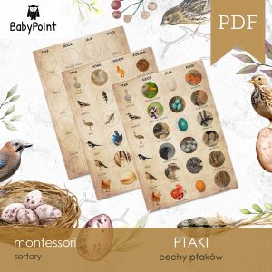PTAKI - Zestaw edukacyjny 3D